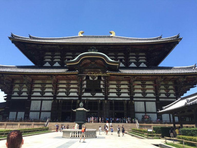 Nara, el templo rodeado de ciervos