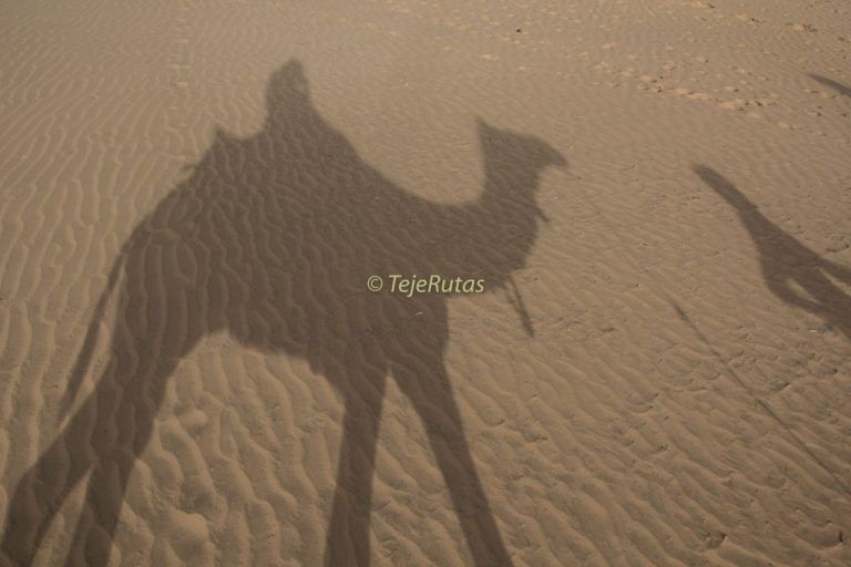 ¡Desierto Thar, noche bajo las estrellas!