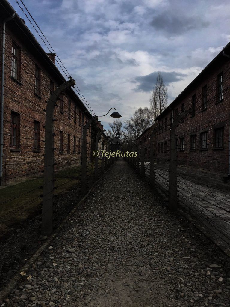 Auschwitz-Birkenau, Polonia.